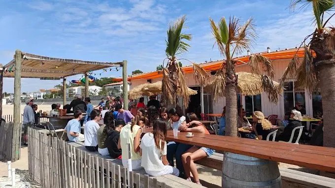 Terrasse animée au soleil avec palmiers