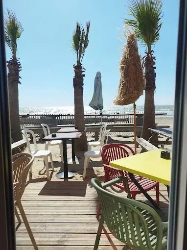 Terrasse aux palmiers et chaises colorées